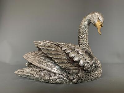 Silver SWAN - Looking Right