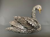 Silver SWAN - Looking Right