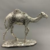 Silver CAMEL