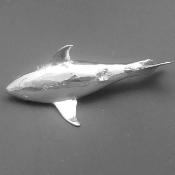 Silver SHARK