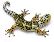 SATURNO Silver and Enamel Geckos