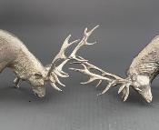 Silver STAG - RUTTING