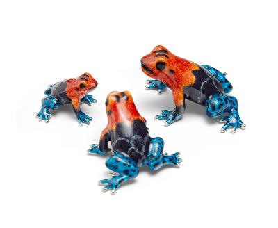 SATURNO Silver and Enamel POISON DART FROG