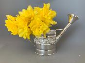 v Silver WATERING CAN
