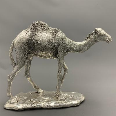 Silver CAMEL