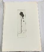 q MALCOLM APPLEBY Signed Limited Edition Engraving 'SCOTS PINE'