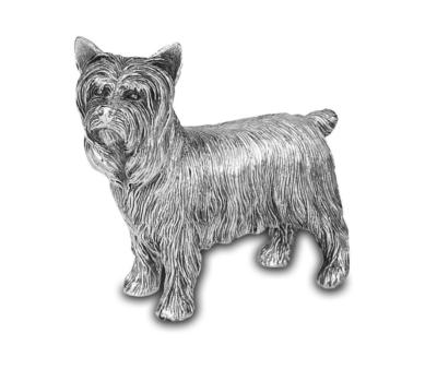 Silver YORKSHIRE TERRIER